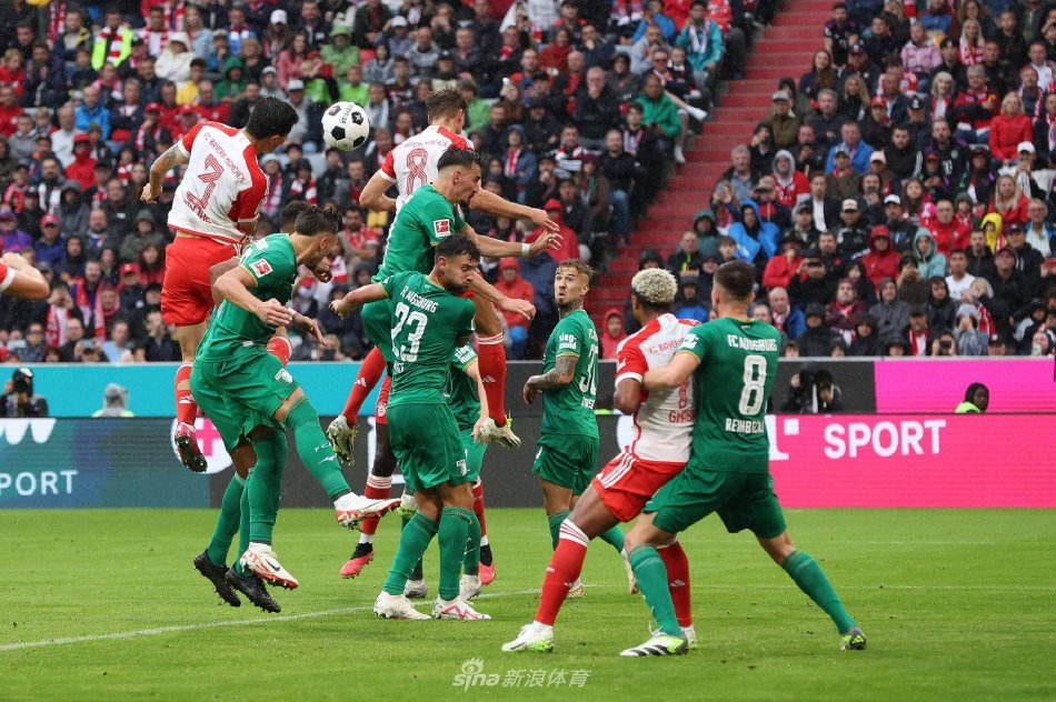 他将以往经 他将以往经